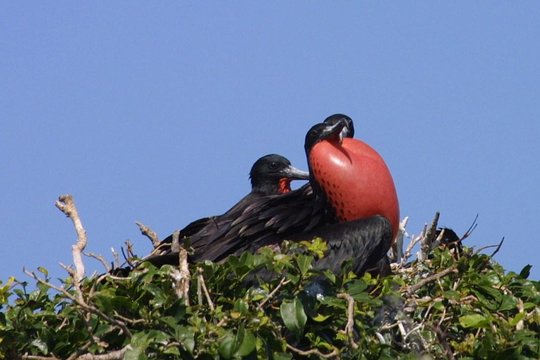 Tour image 8