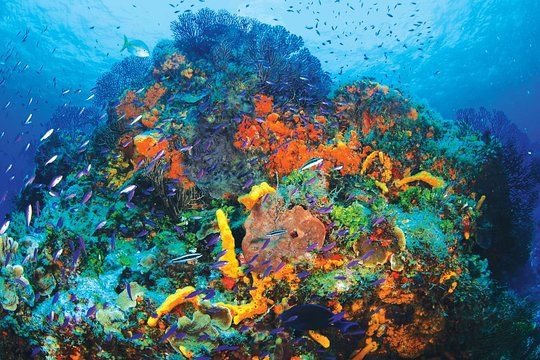 Tour image 1
