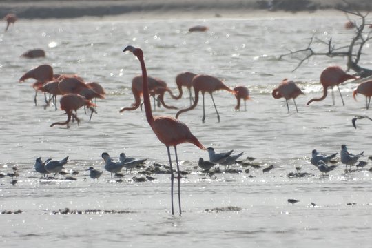 Tour image 11