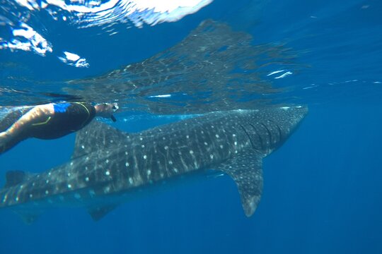 Tour image 7