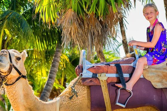 Tour image 11