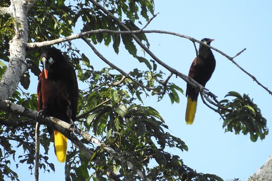 Tour image 5