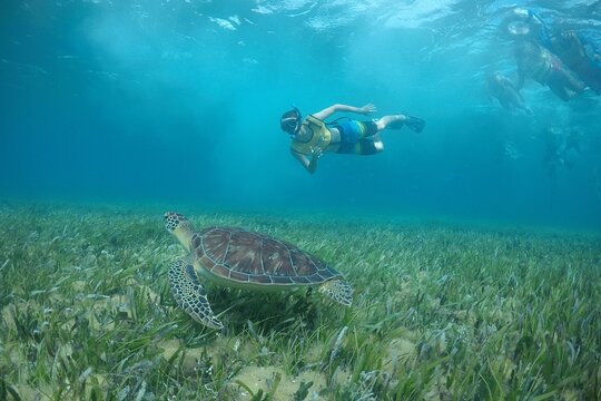 Tour image 6